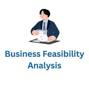 Business Feasibility Analysis Report