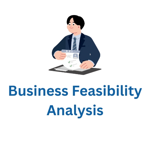 Business Feasibility Analysis